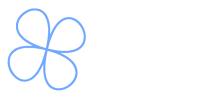Rapid-Wireless-logo